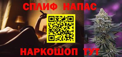 apvp Бийск