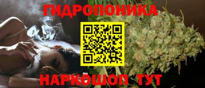 spice Беслан