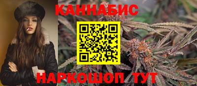 apvp Бийск