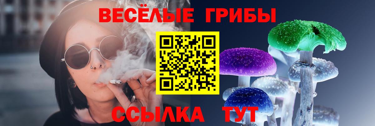 Камышлов  Псилоцибиновые грибы MAGIC MUSHROOMS  где купить наркоту  Вход с VPN  Псилоцибиновые грибы Magic Shrooms 